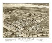 Salmon Falls history