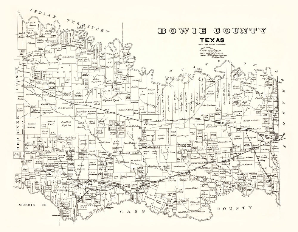 Vintage Map of Bowie County, Texas 1894 print style example