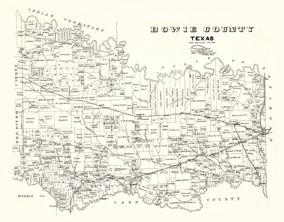 Preview of Vintage Map of Bowie County, Texas 1894