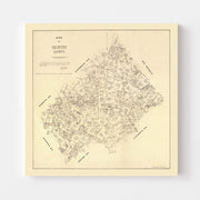 map of De Witt Count