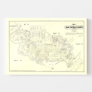 map of San Patricio 