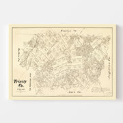 map of Trinity Count