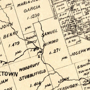 old Williamson Count