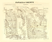 Zavalla County histo