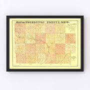 Coshocton County Vintage Map 1850