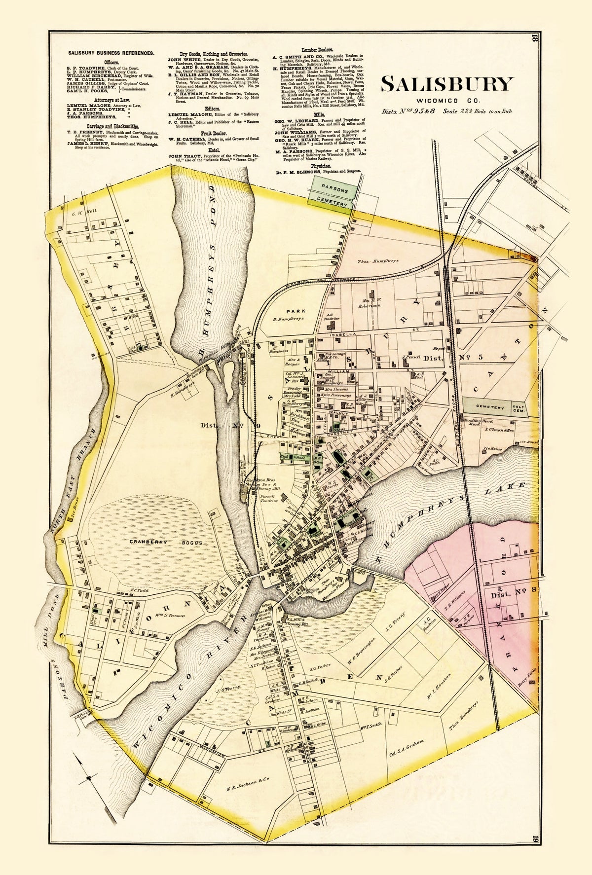 Preview of Vintage Map of Wicomico County, Maryland 1877