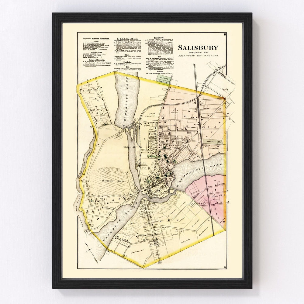Wicomico County Vintage Map 1877
