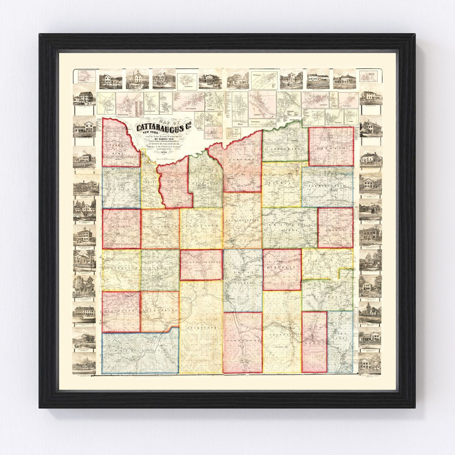 Cattaraugus County Vintage Map 1856