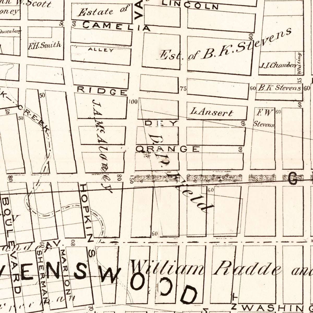 Restored historic details from the 1874 county map of Queens County, New York