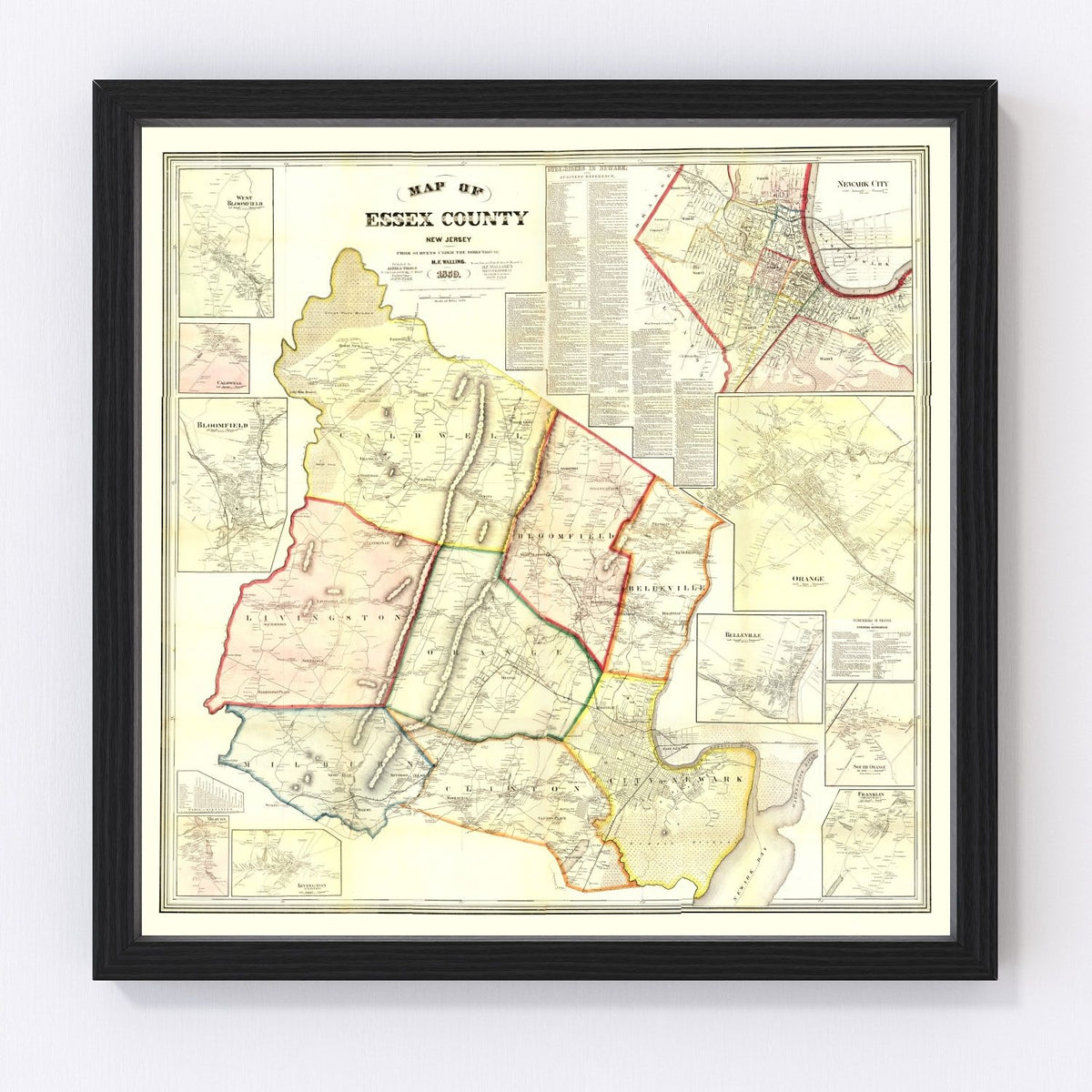Essex County Vintage Map 1859