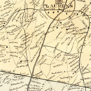 old Laurens County m
