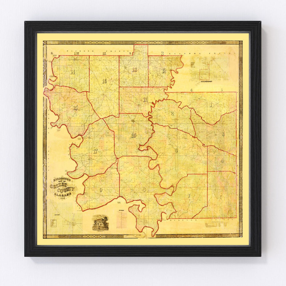 Greene County Vintage Map 1856