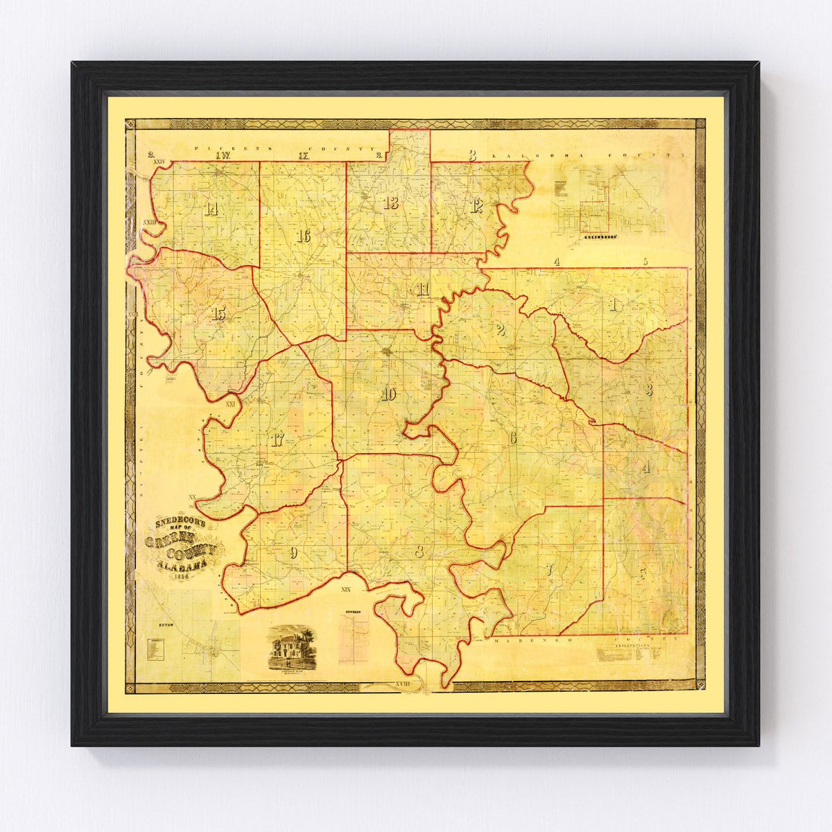 Greene County Vintage Map 1856