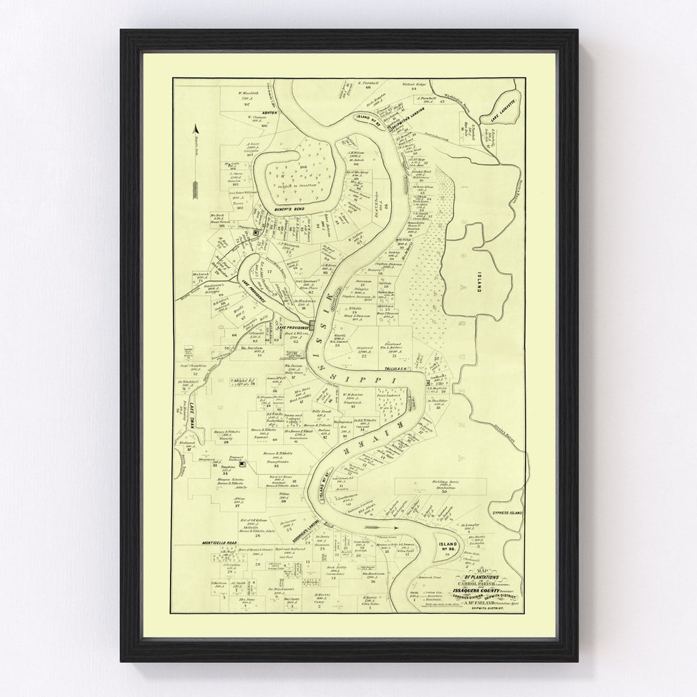 Carroll Parish Vintage Map 1860