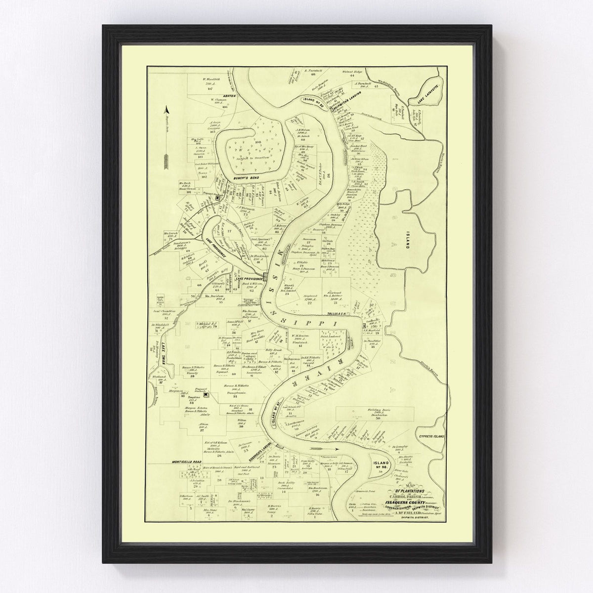 Carroll Parish Vintage Map 1860