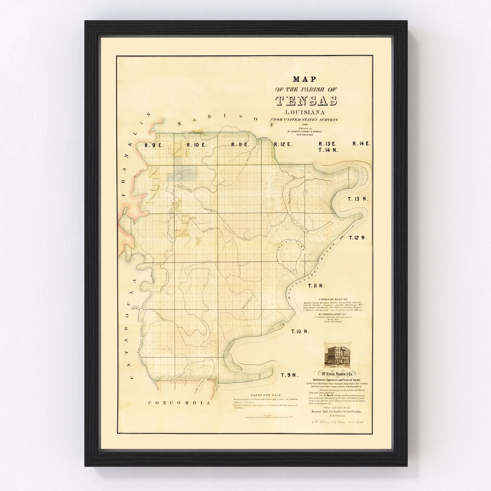 Tensas Parish Vintage Map 1860