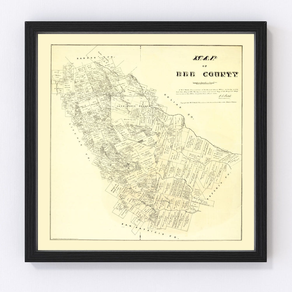Bee County Vintage Map 1879