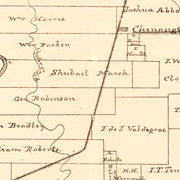 old Brazoria County 
