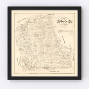 Liberty County Vintage Map 1879