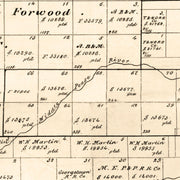 old Motley County ma