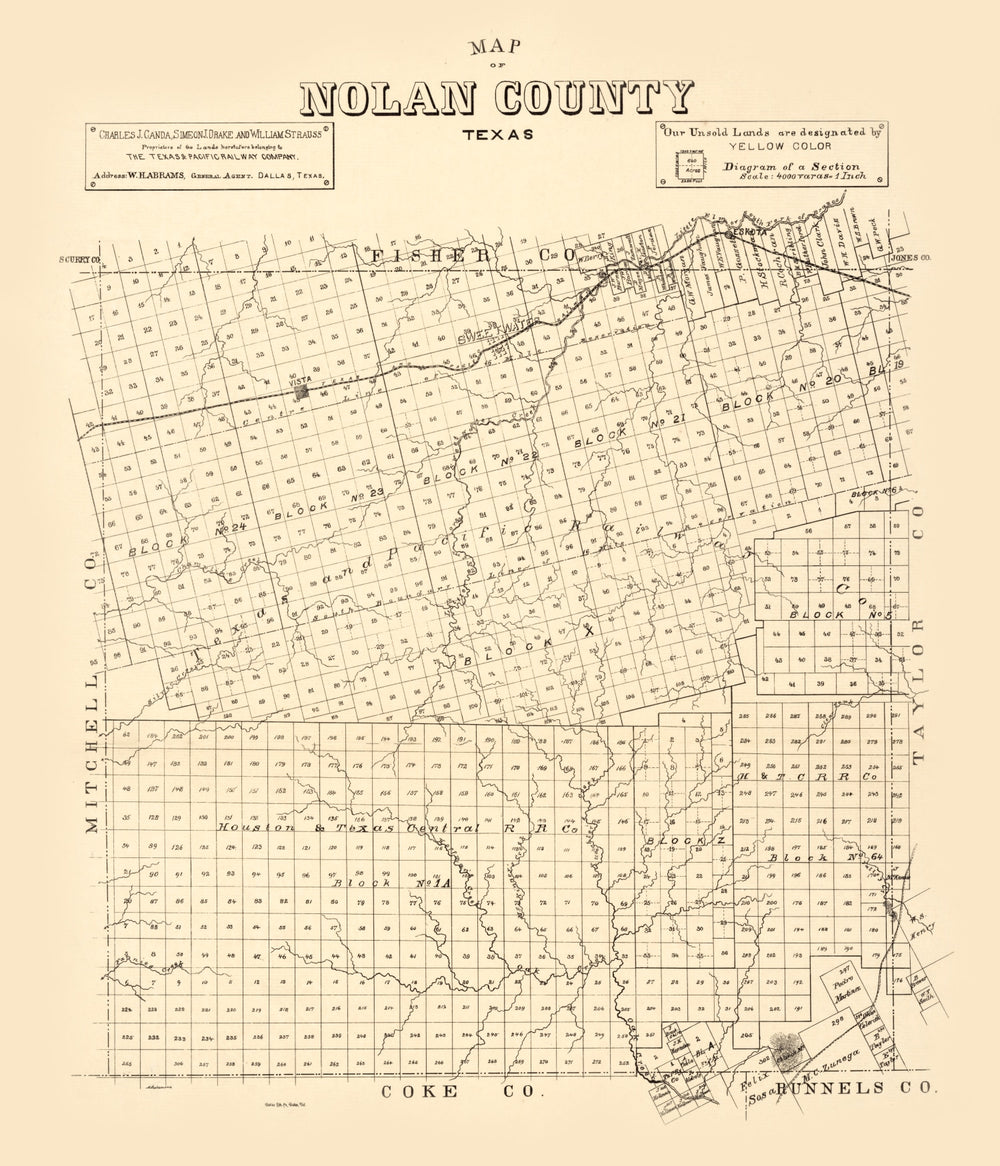 Vintage Map of Nolan County, Texas 1890 print style example