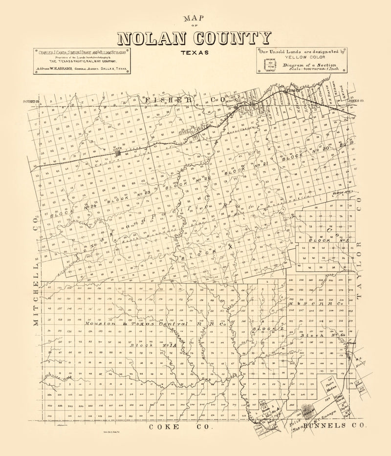 Size comparison using Vintage Map of Nolan County, Texas 1890