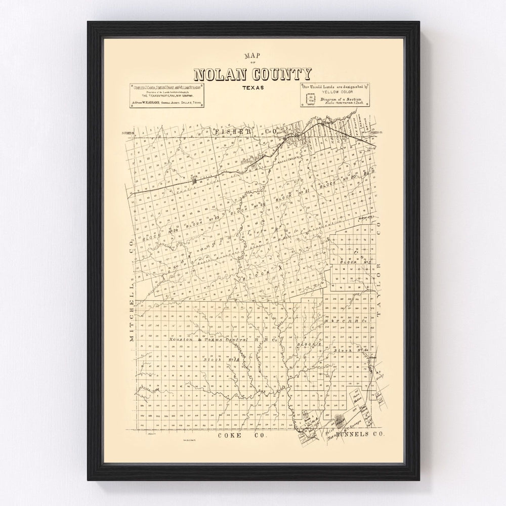 Nolan County Vintage Map 1890