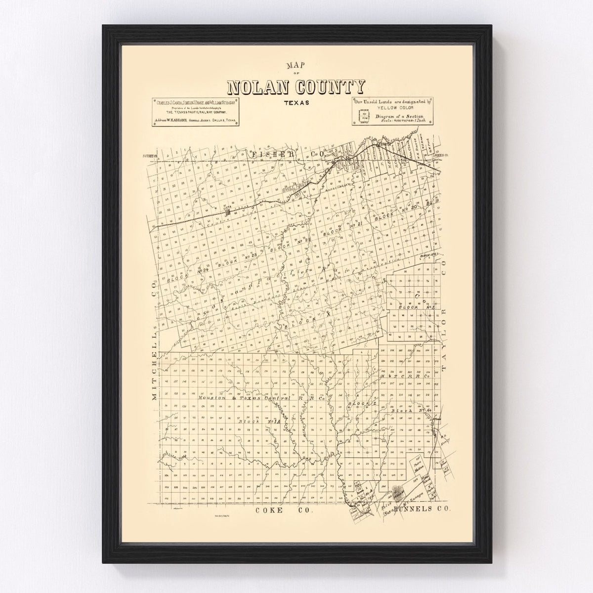 Nolan County Vintage Map 1890