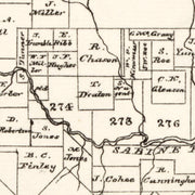 old Rains County map
