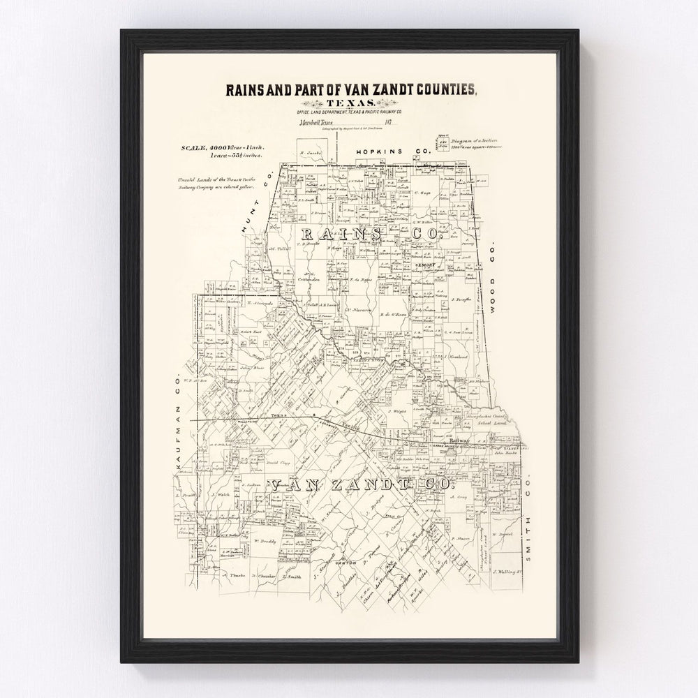 Rains County Vintage Map 1870