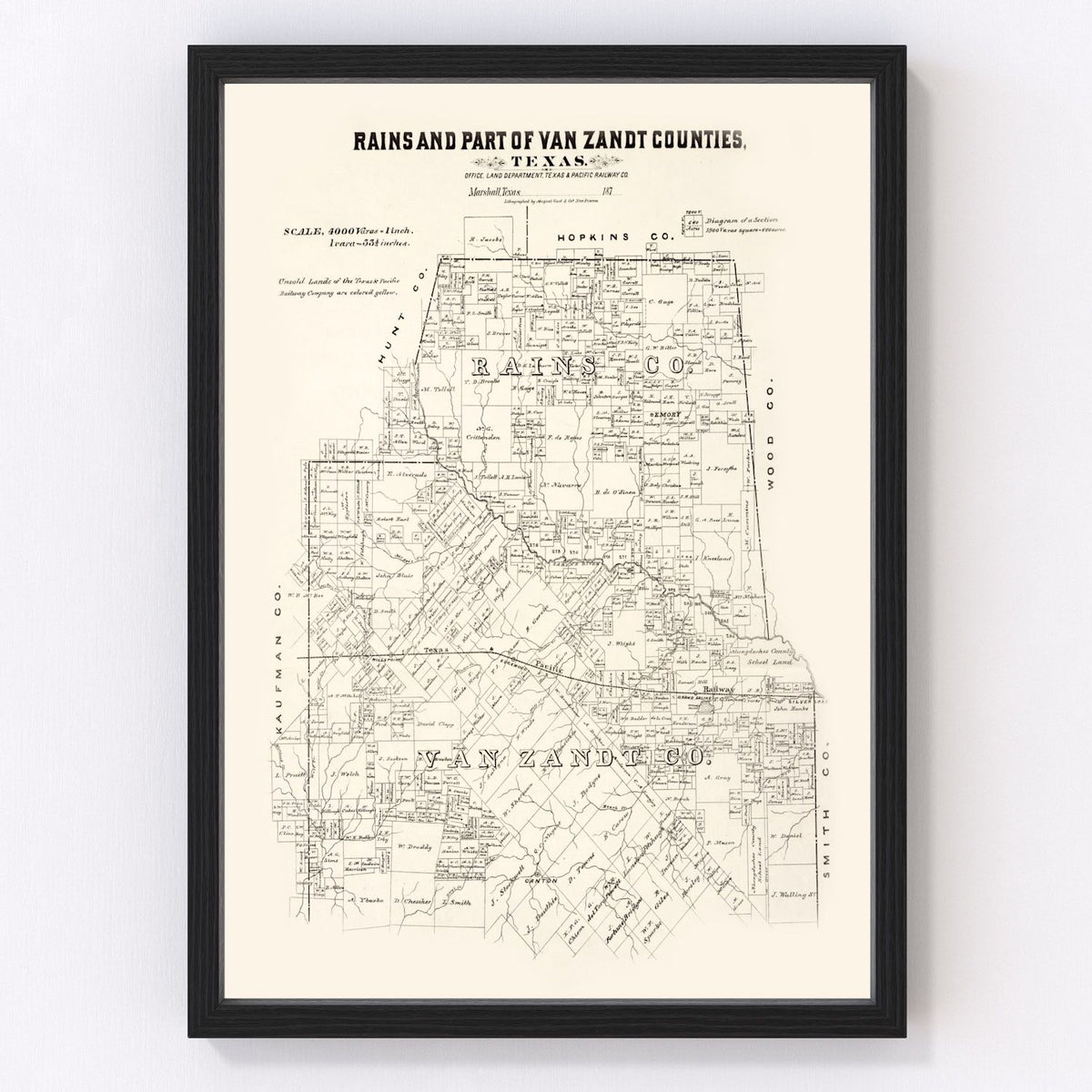 Rains County Vintage Map 1870