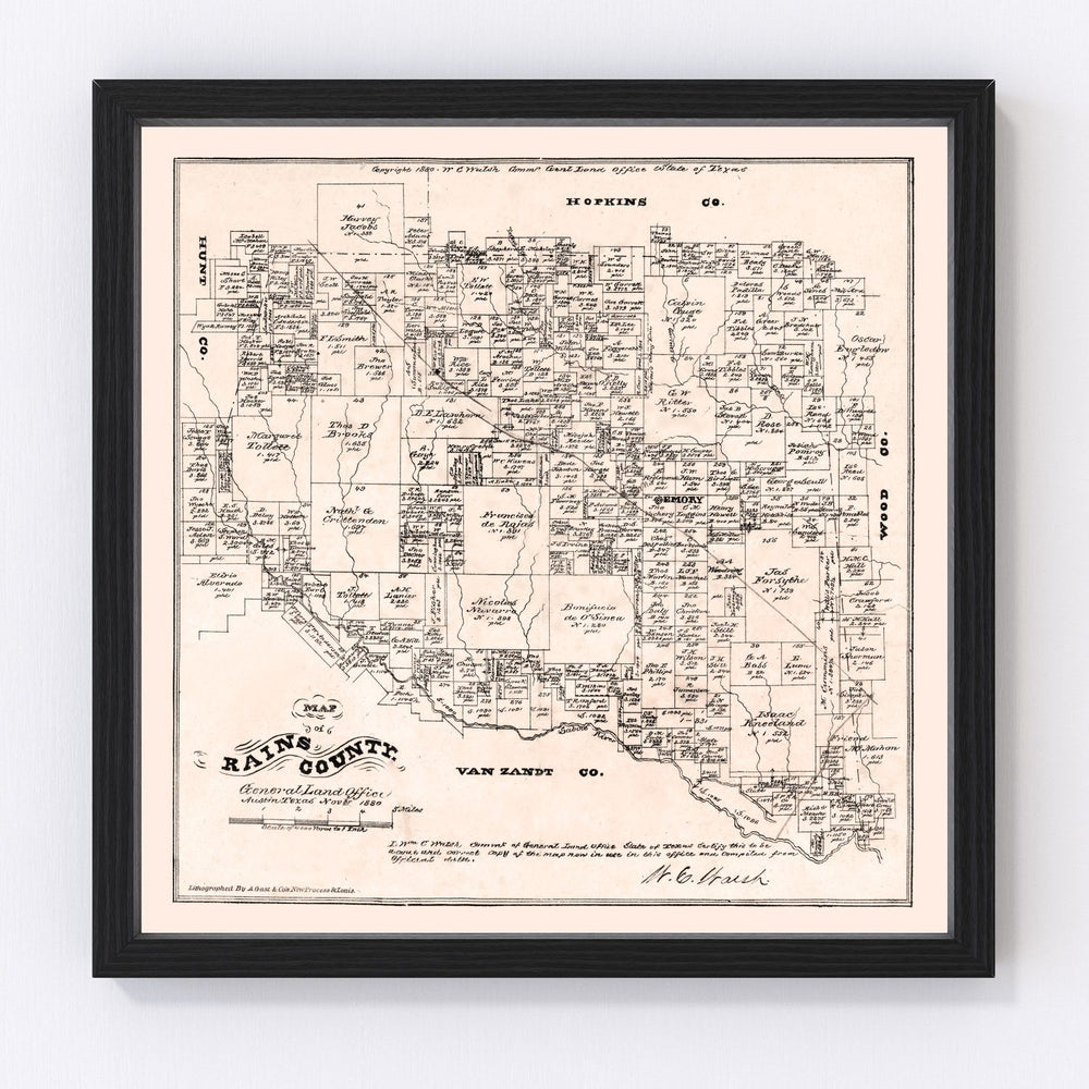 Rains County Vintage Map 1880