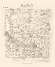 Runnels County histo