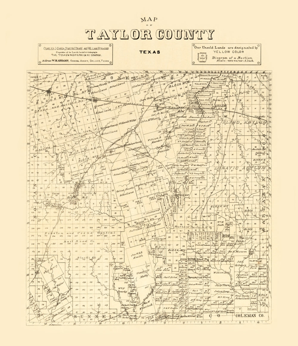 Vintage Map of Taylor County, Texas 1890 print style example