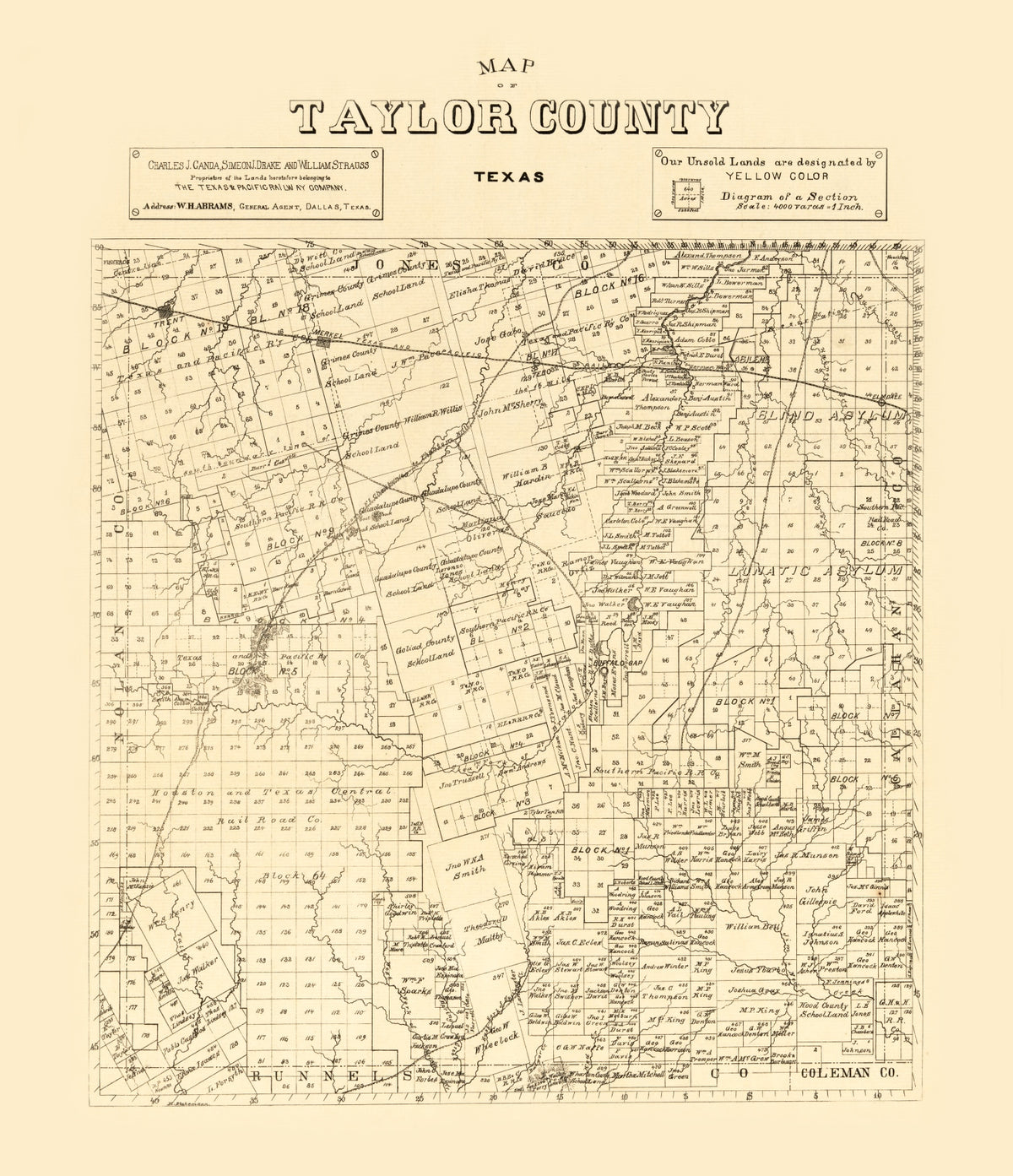 Preview of Vintage Map of Taylor County, Texas 1890