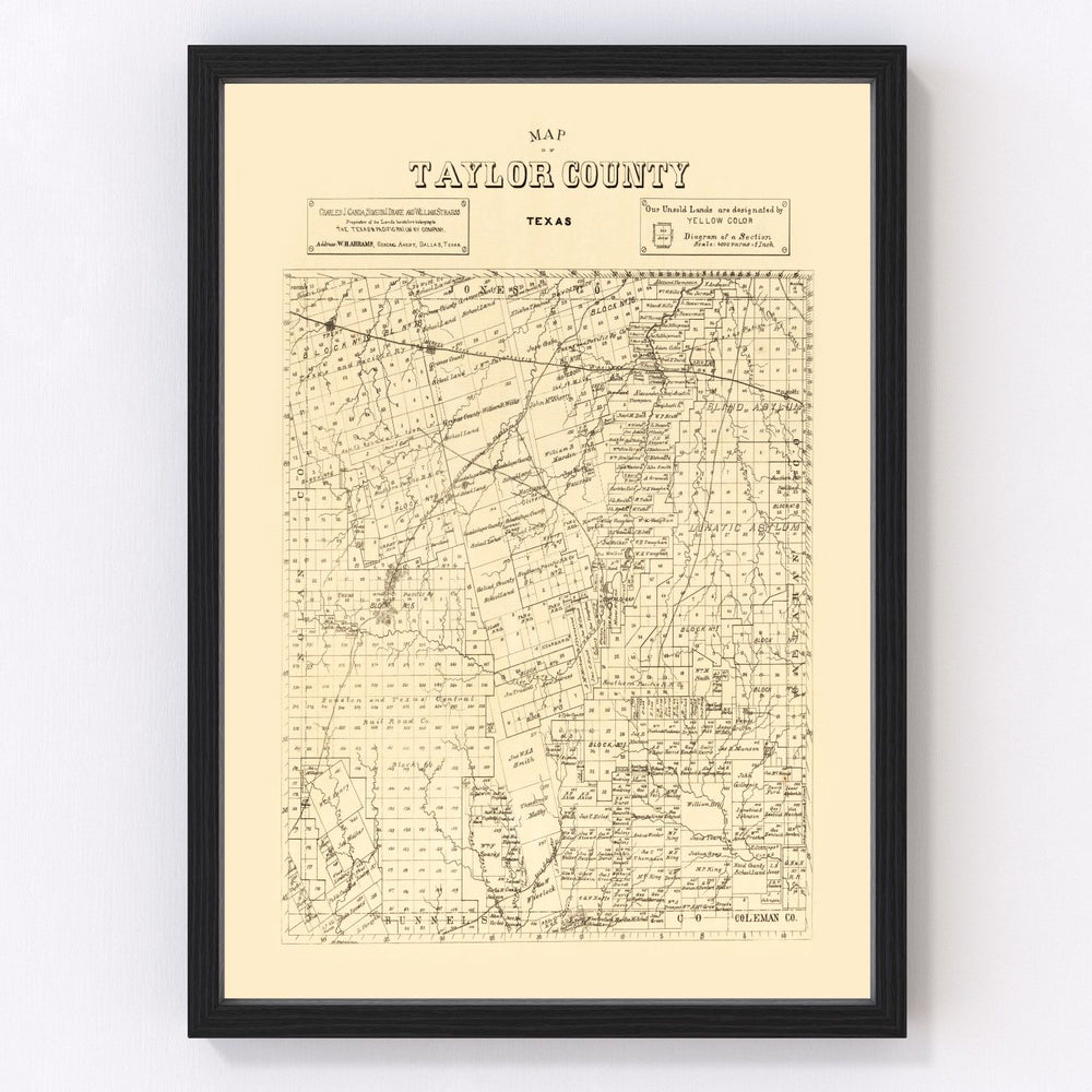 Taylor County Vintage Map 1890
