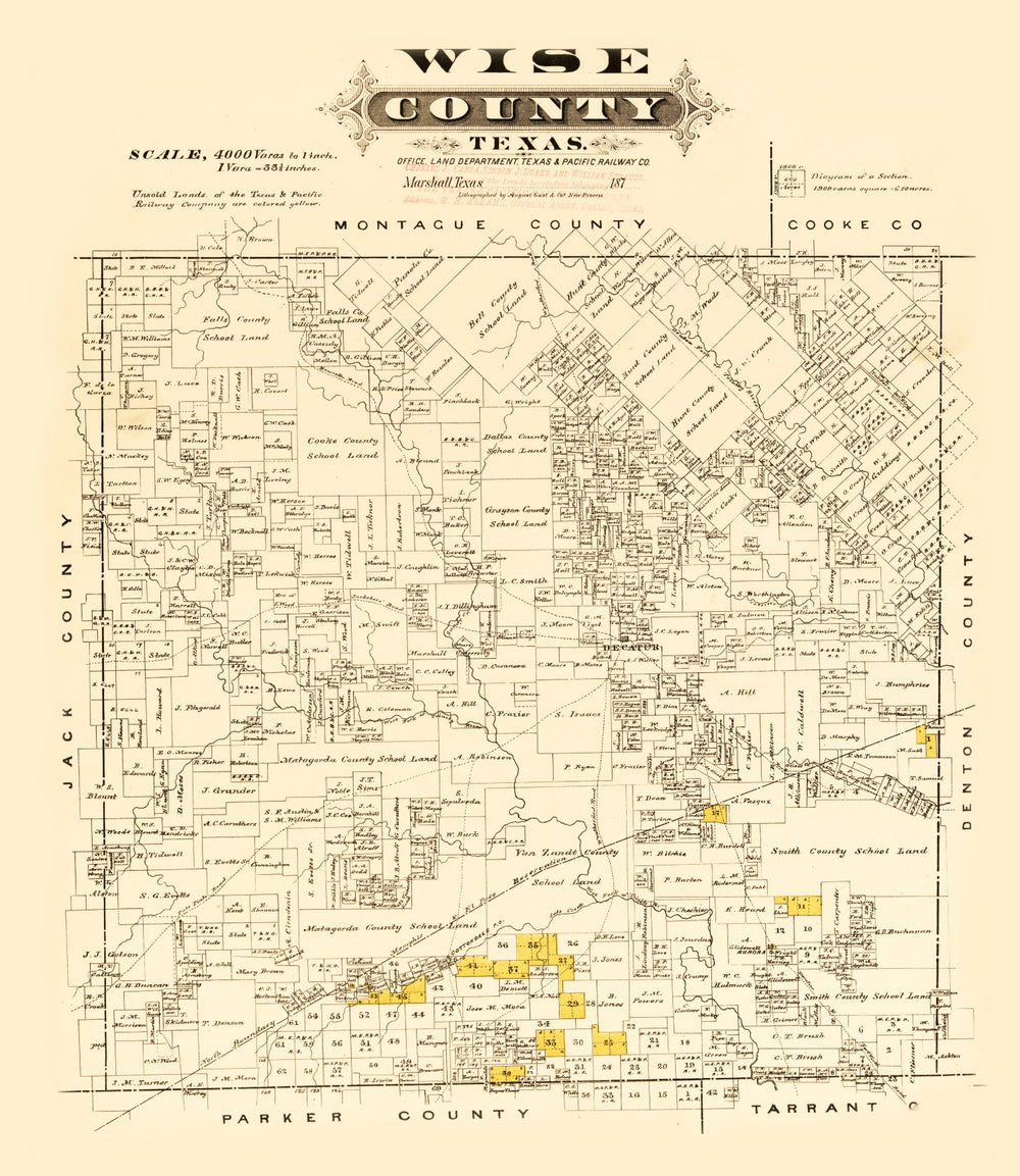 Vintage Map of Wise County, Texas 1870 print style example