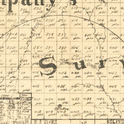 old Young County map