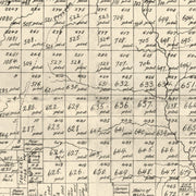 old Young County map