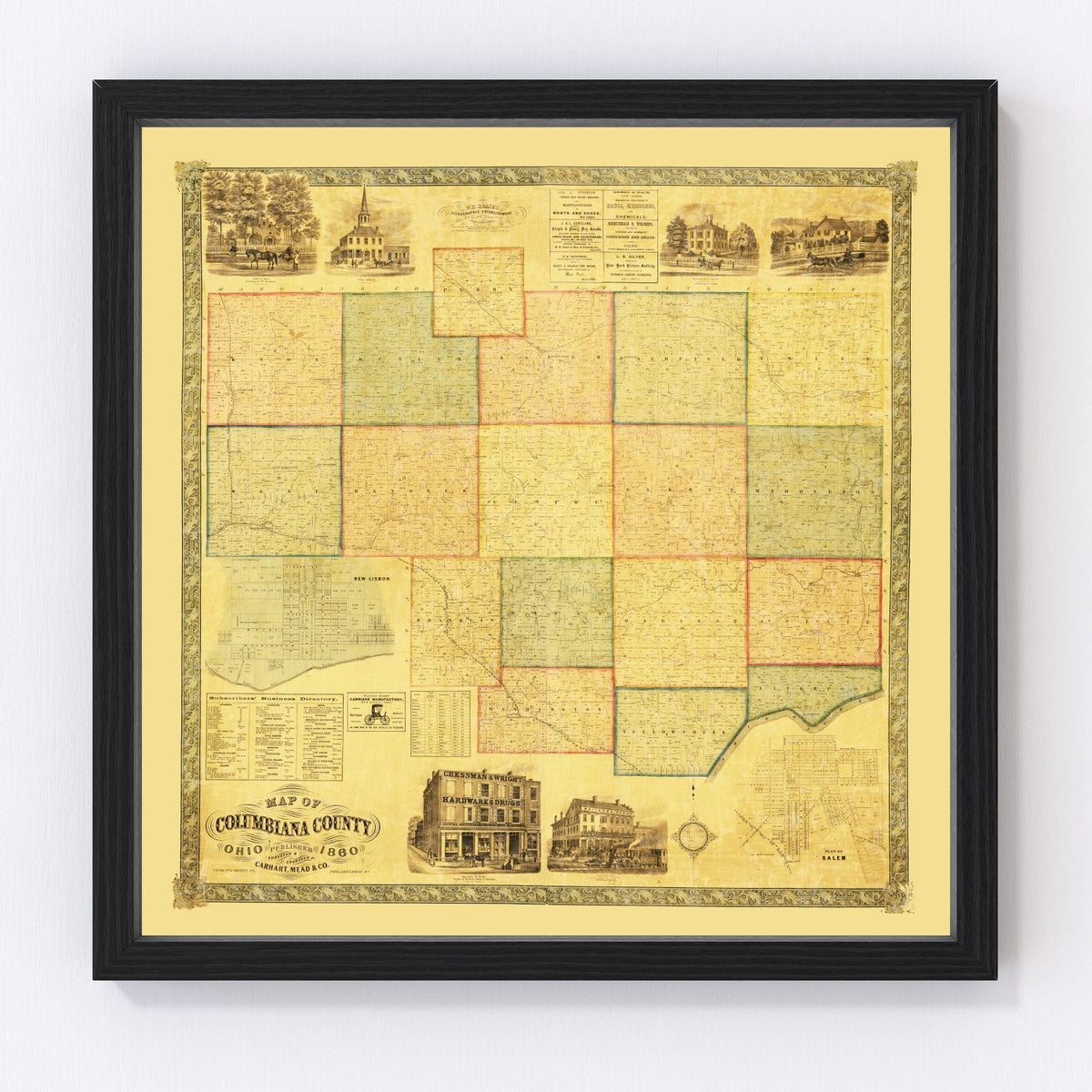Columbiana County Vintage Map 1860