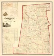 Madison County histo