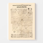 Vintage Map of Logan County, Illinois 1893