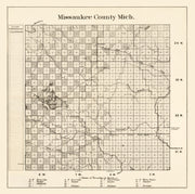 Missaukee County his