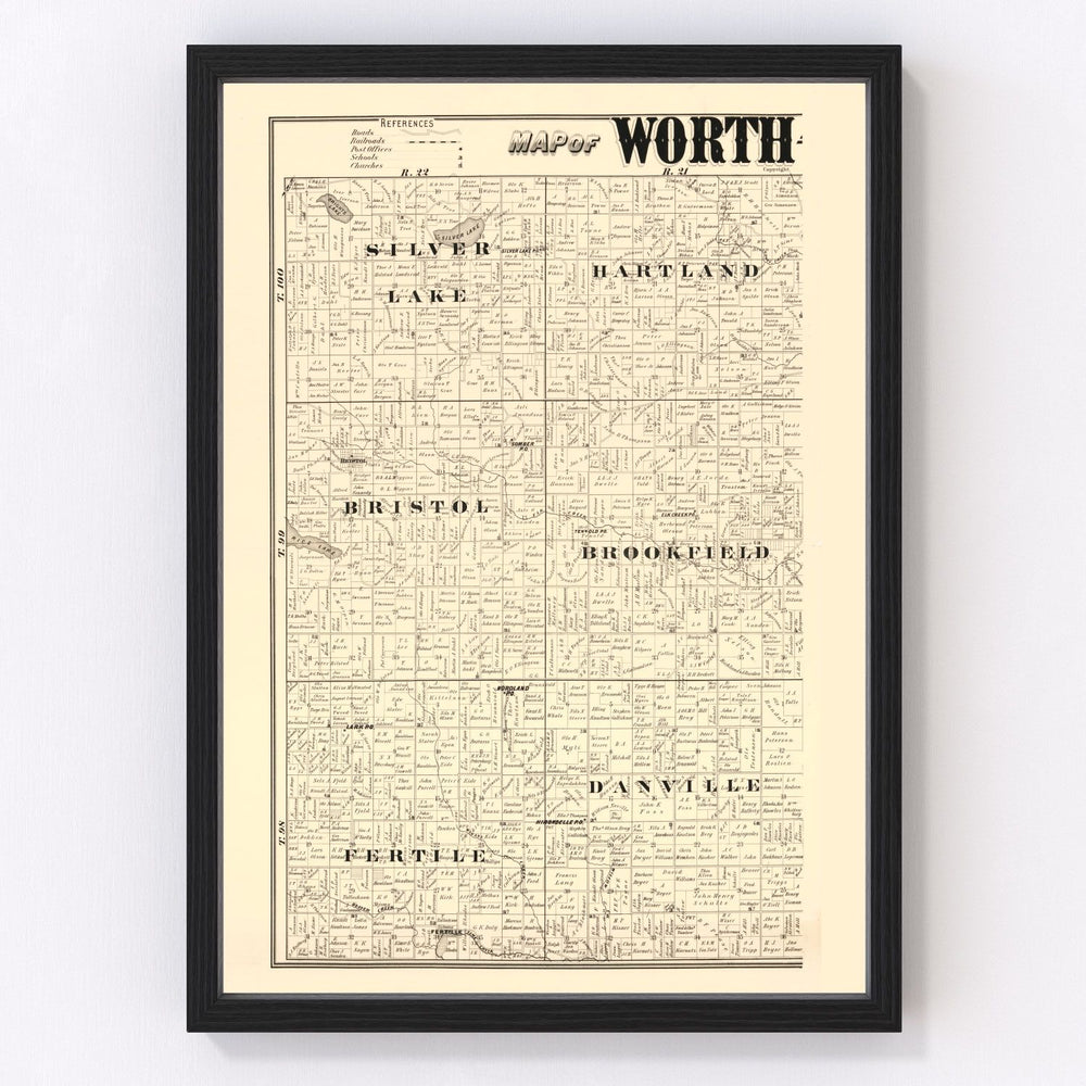 Worth County Vintage Map 1894
