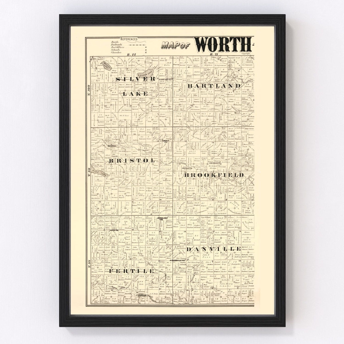 Worth County Vintage Map 1894