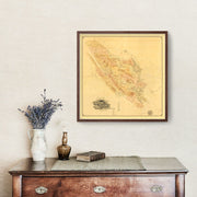 Marin County art