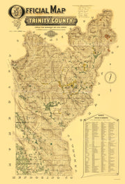 Trinity County histo