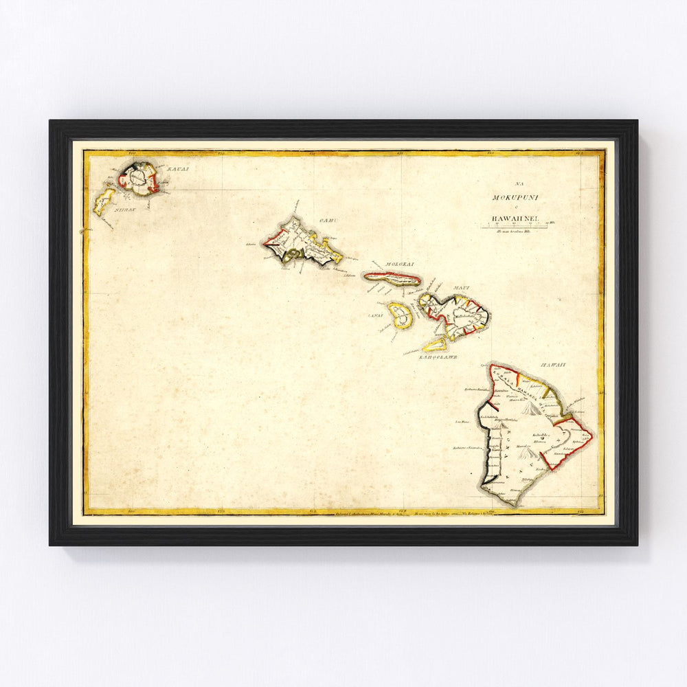 Hawaii Vintage Map 1893