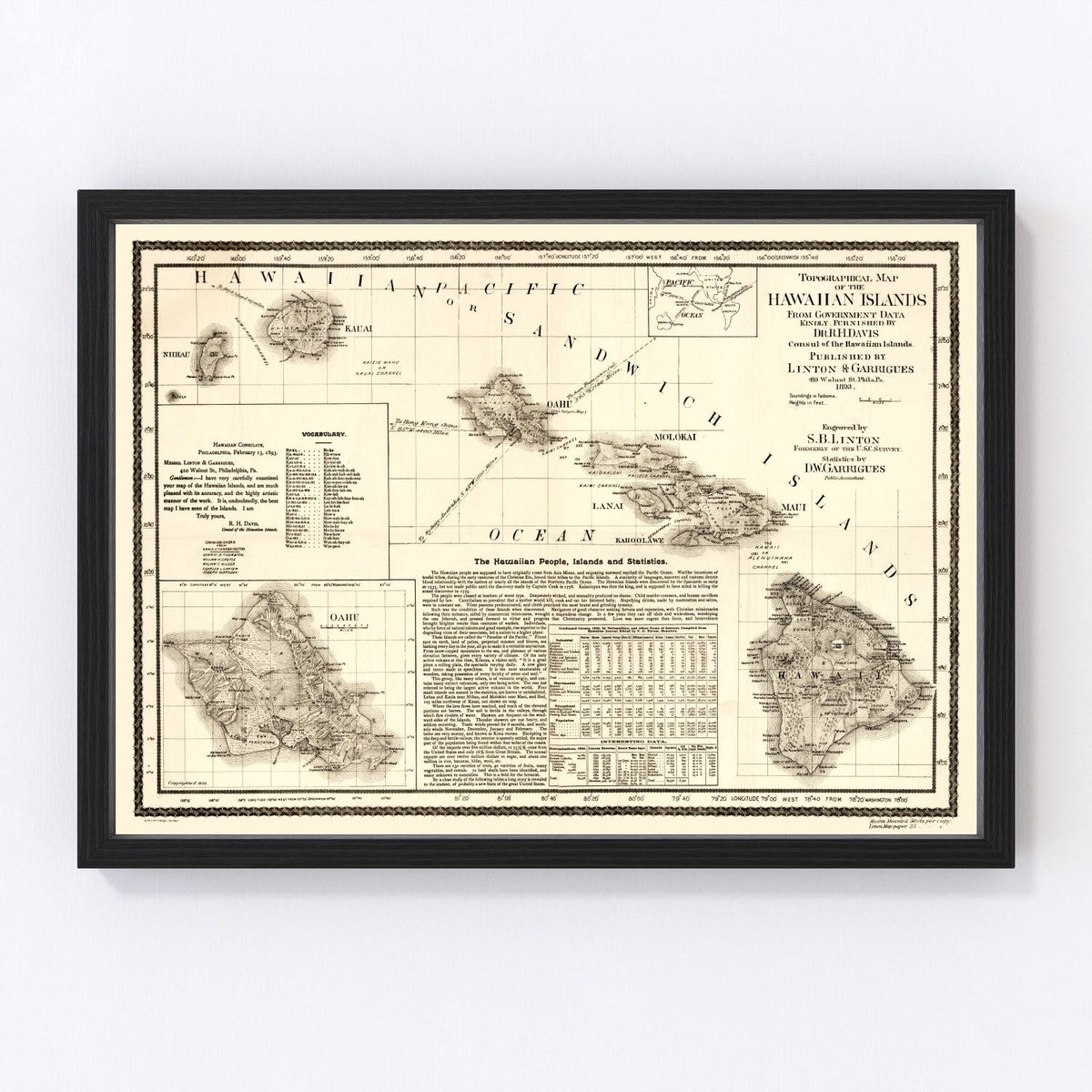 Hawaii Vintage Map 1893