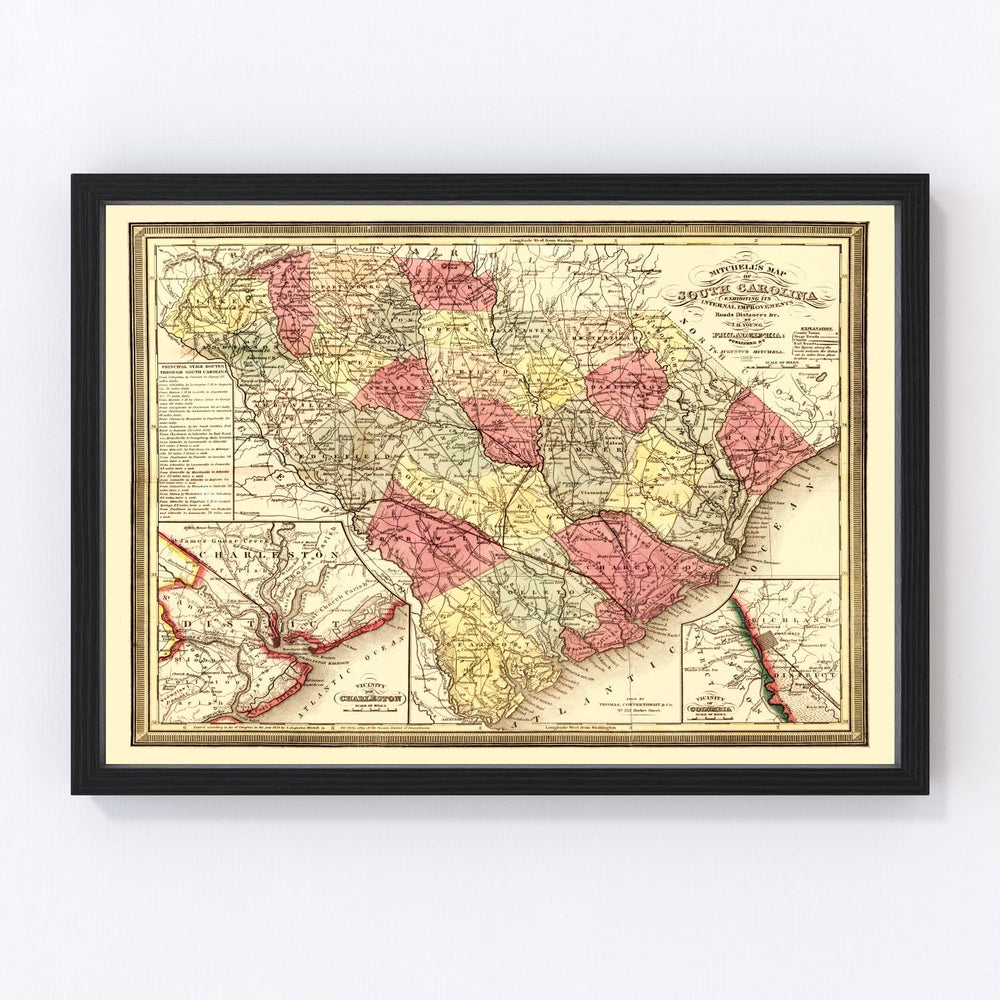 South Carolina Vintage Map 1849